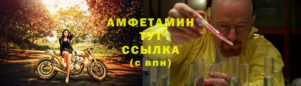 амф Верхний Тагил