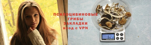 амф Верхний Тагил