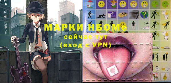 амф Верхний Тагил