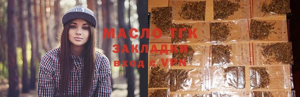 амф Верхний Тагил