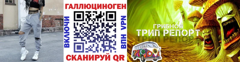 Псилоцибиновые грибы Cubensis Энгельс